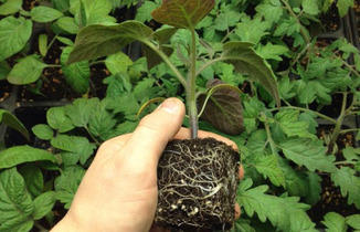 Asheville S Daily Drink And Food Specials Diglocal Asheville Nc