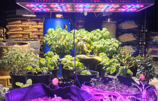 Asheville S Daily Drink And Food Specials Diglocal Asheville Nc