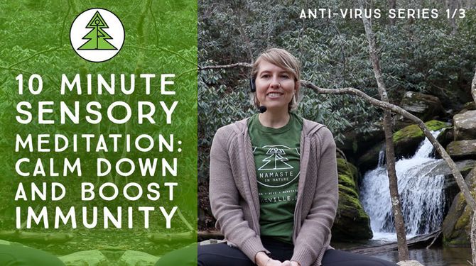 Scoop: Free Online Yoga and Meditation